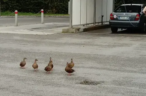 E.Leclerc Station Service